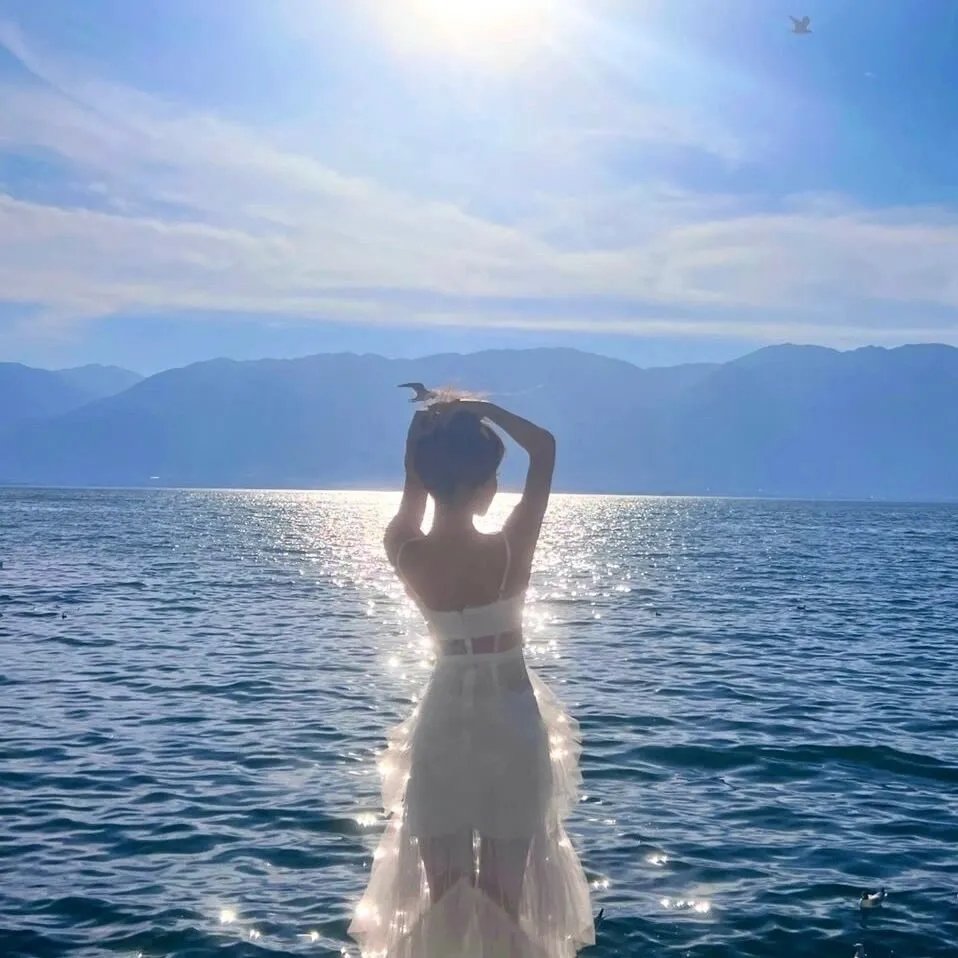 愿以白云初见君